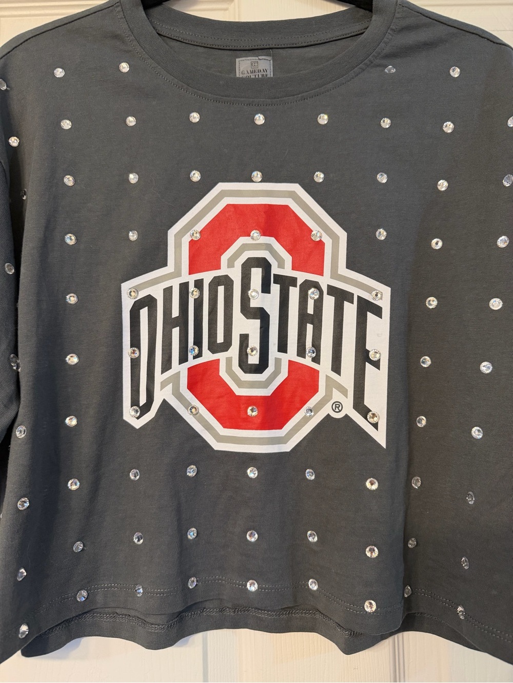 Ohio State Rhinestone Cropped Tee - Charcoal - Picture 2 of 5